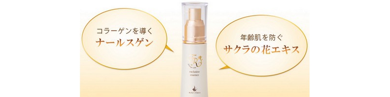 �G�N�X�N���[�V�u�G�b�Z���X














���T�C�g